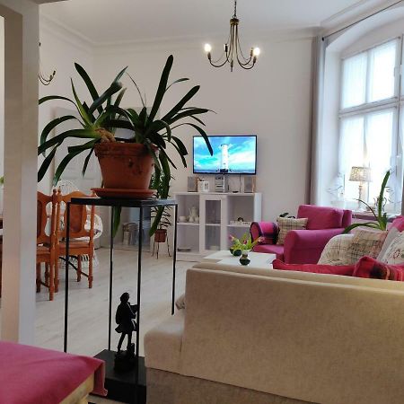 شقة Apartament Helena سفينويتشي المظهر الخارجي الصورة